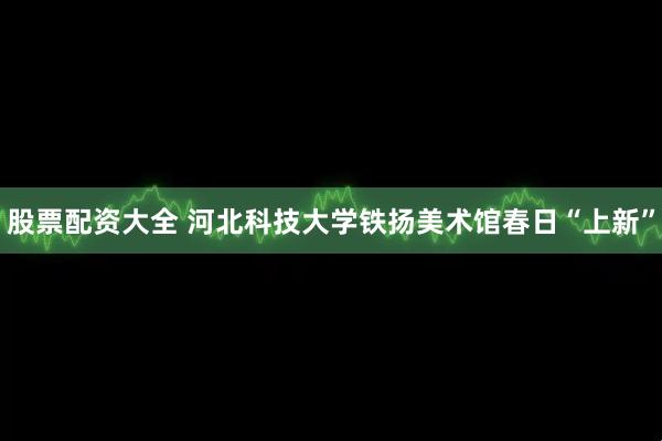 股票配资大全 河北科技大学铁扬美术馆春日“上新”
